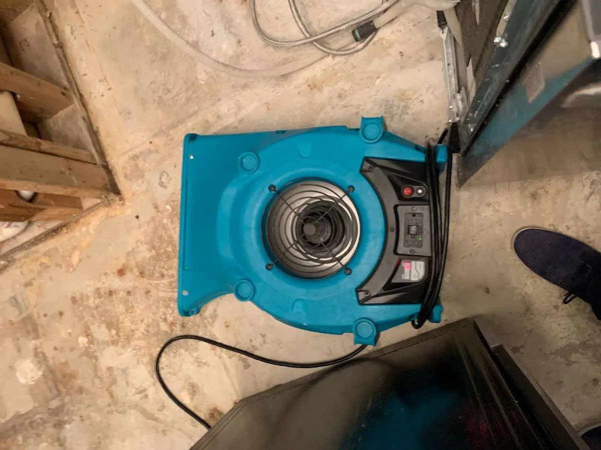 Air mover drying equipment for Mold Remediation & Removal in Vine Grove
