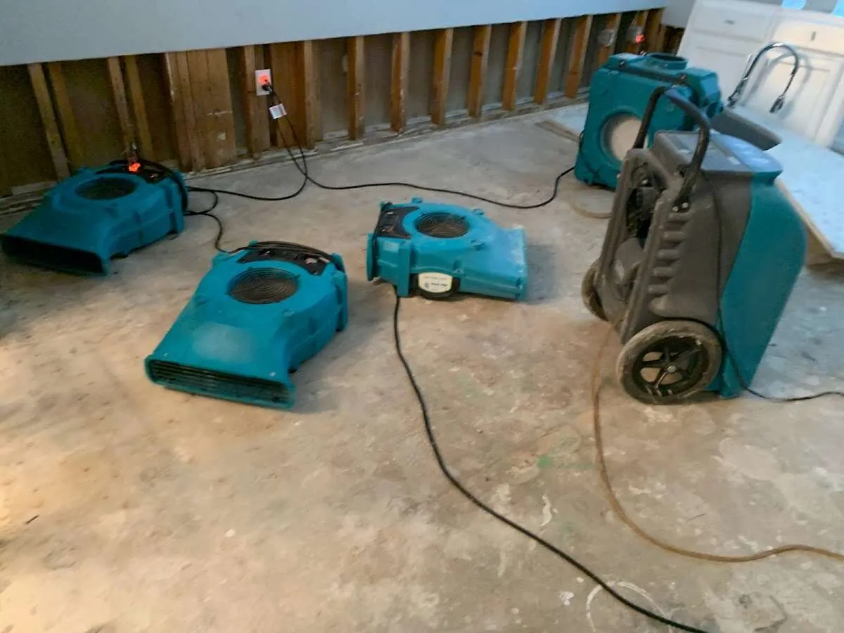 Drying & Dehumidification in Vine Grove, KY